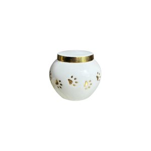 Ánfora Odisea Blanca/Dorada - XS